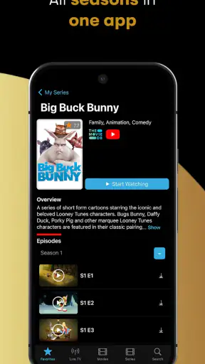 IPTV Streamer screenshot