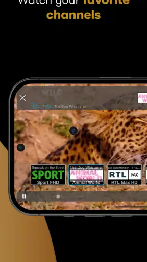 IPTV Streamer screenshot