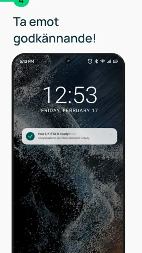 iVisa: Resvisum online screenshot