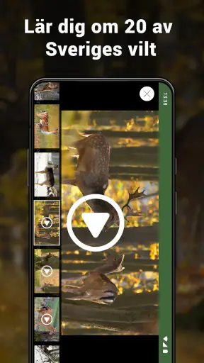 Jägarexamen Lite screenshot