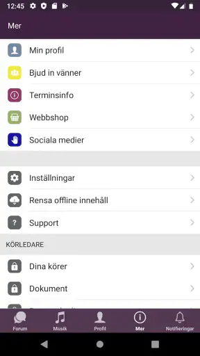 Joyvoice screenshot