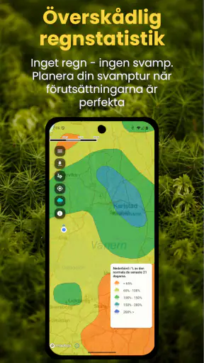 Kantarellappen screenshot