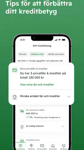 Kreddy - se ditt kreditbetyg screenshot