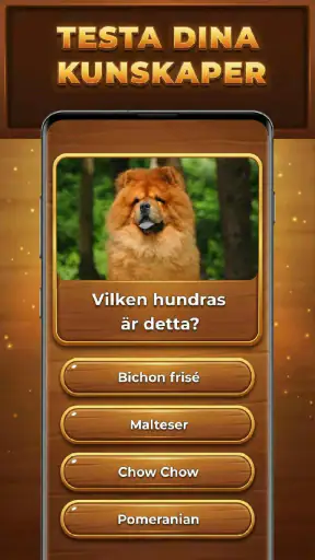 Kunskapens Träd: Trivia Blocks screenshot