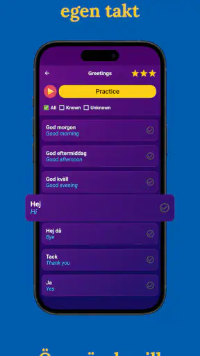 Lär dig svenska – nybörjare screenshot