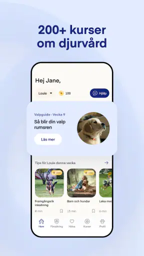 Lassie screenshot