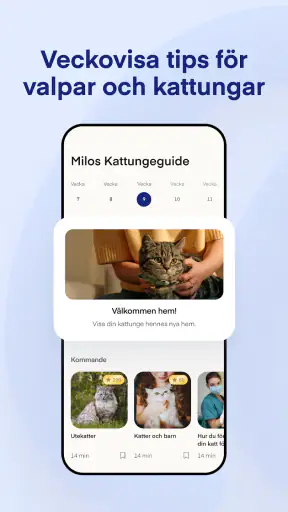 Lassie screenshot