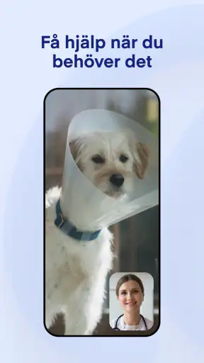 Lassie screenshot