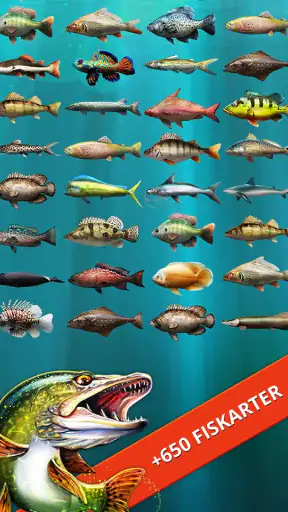 Let's Fish: Sportfiske screenshot