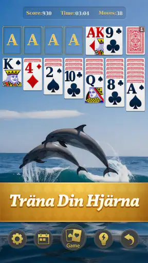 Mästare i Klassisk Patiens screenshot