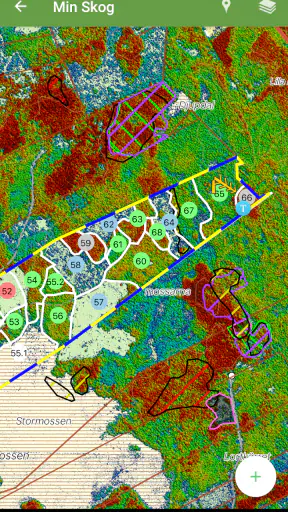 Mellanskog screenshot
