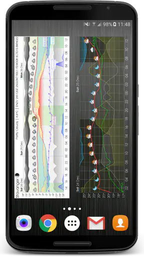 Meteogram Weather Widget screenshot