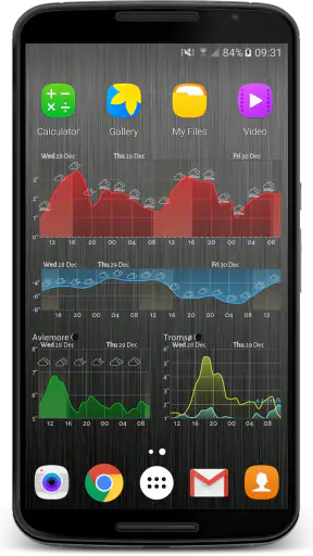 Meteogram Weather Widget screenshot