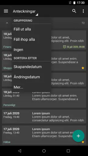 Mina Anteckningar screenshot
