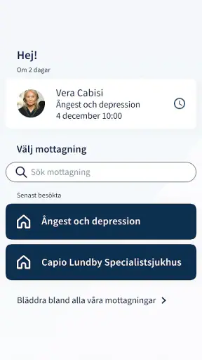 Mitt videomöte screenshot