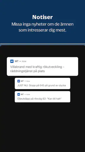 MT screenshot