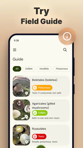 Mushroomizer screenshot