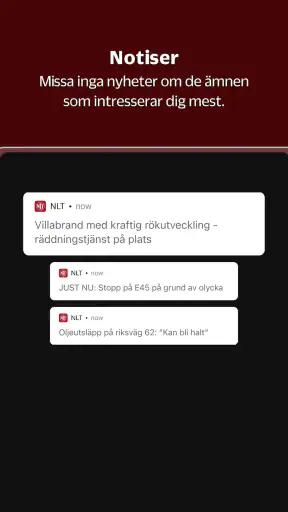 NLT screenshot