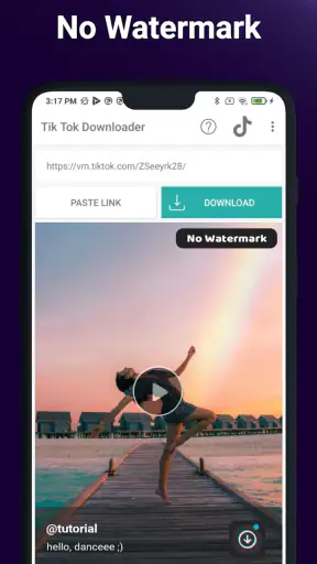 No Watermark Video Downloader screenshot