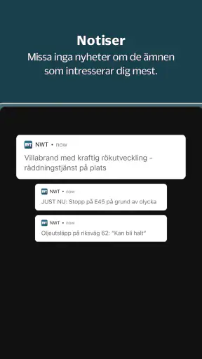 NWT screenshot