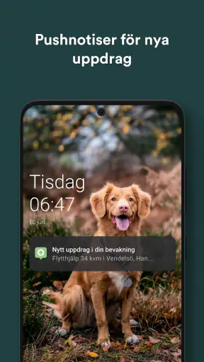 Offerta screenshot