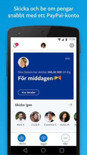 PayPal screenshot