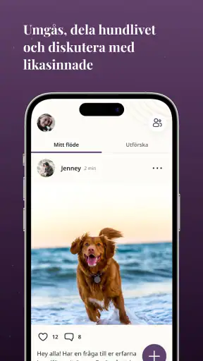 Petli: Hundträning & Community screenshot