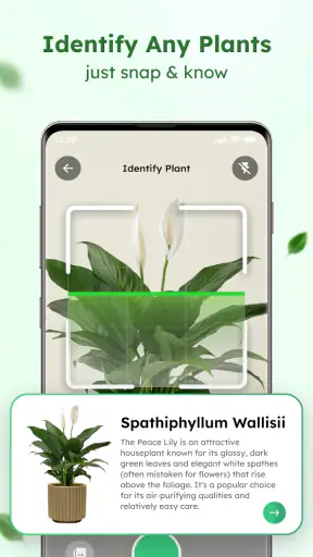 Plant Identifier: Plant App screenshot