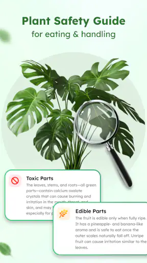 Plant Identifier: Plant App screenshot