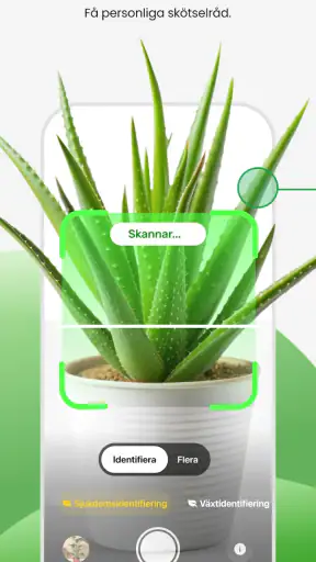 PlantApp – Identifiera växter screenshot