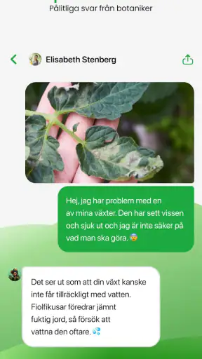 PlantApp – Identifiera växter screenshot
