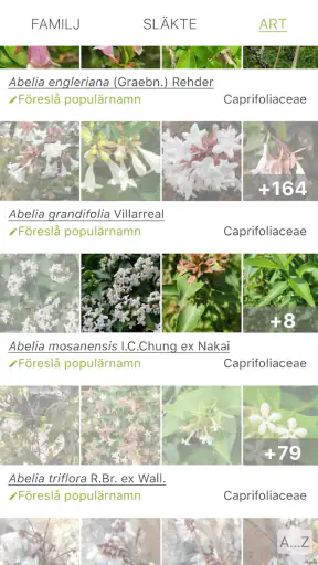 PlantNet Växtidentifiering screenshot