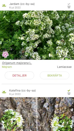 PlantNet Växtidentifiering screenshot