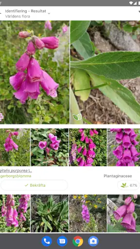 PlantNet Växtidentifiering screenshot