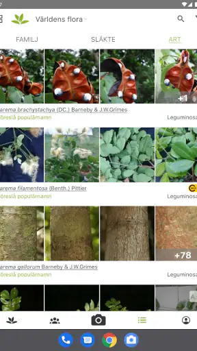 PlantNet Växtidentifiering screenshot