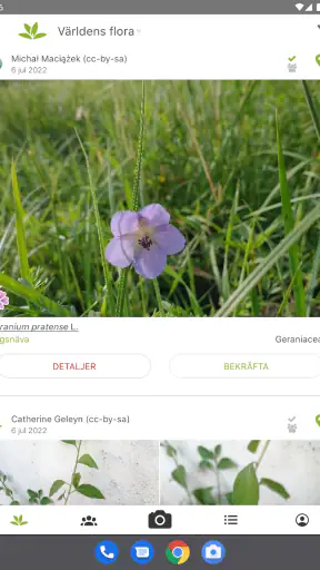 PlantNet Växtidentifiering screenshot