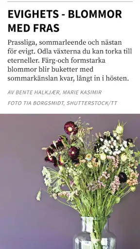 Pling – digital tidningsapp screenshot