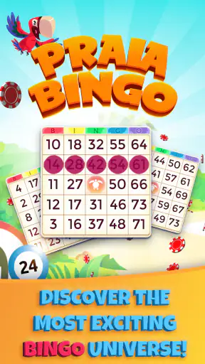 Praia Bingo screenshot