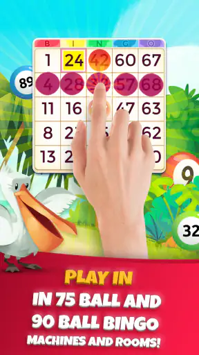 Praia Bingo screenshot