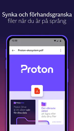 Proton Drive: Molnlagring screenshot