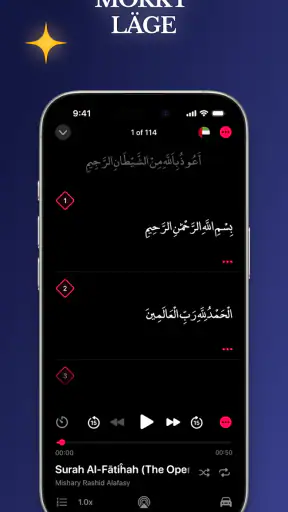 Quran Pro: Redo för Ramadan screenshot