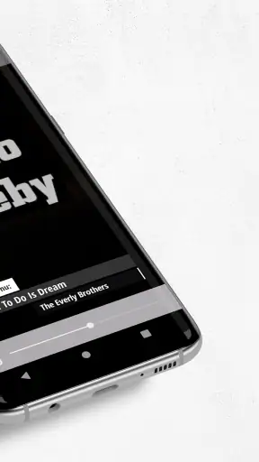 Radio Treby screenshot