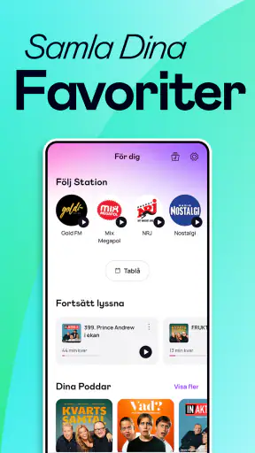 RadioPlay screenshot