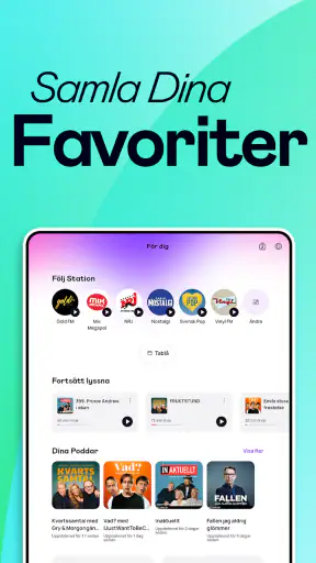 RadioPlay screenshot