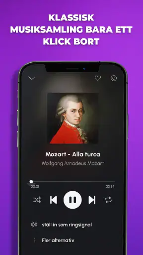 Ringsignaler musik för Android screenshot