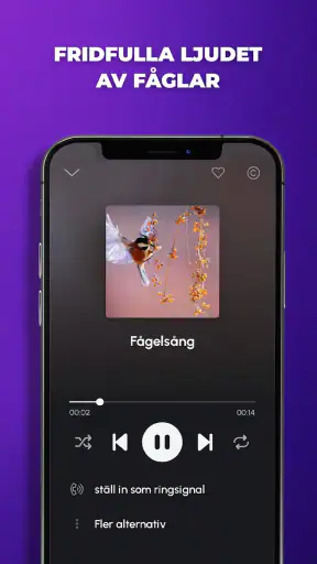 Ringsignaler musik för Android screenshot