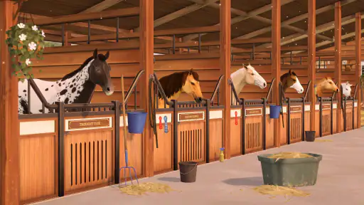 Rival Stars hästkapplöpning screenshot
