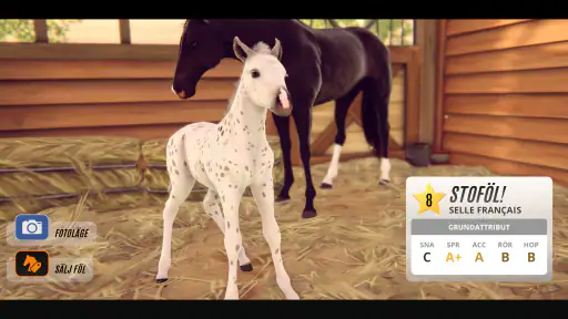 Rival Stars hästkapplöpning screenshot
