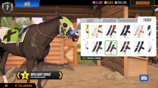 Rival Stars hästkapplöpning screenshot