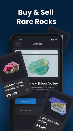RockIn Rock & Mineral Identify screenshot